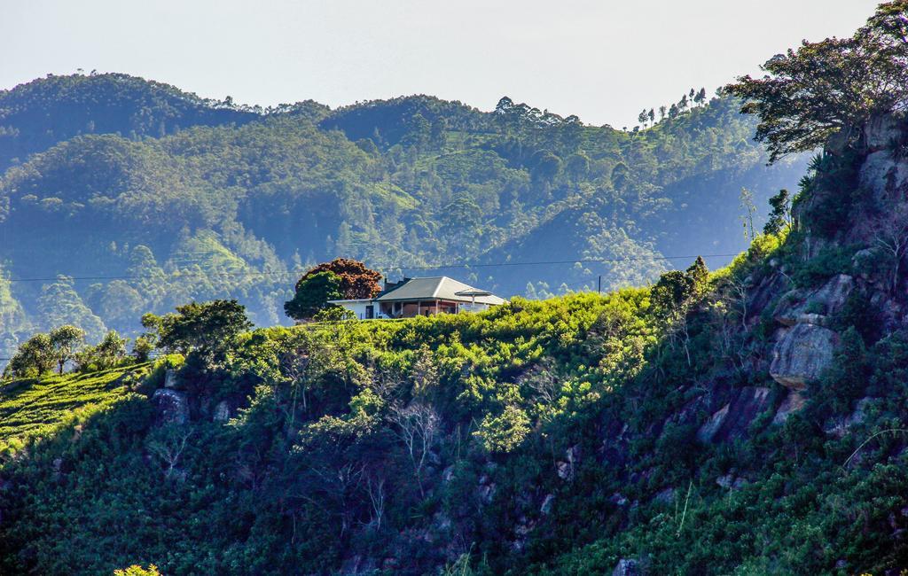 Cool Mount Resort Ella Ngoại thất bức ảnh